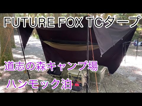 道志の森キャンプ場　ハンモック泊　 ソロキャンプ　future fox ソロキャンプ