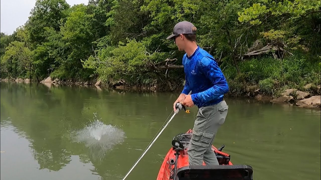 Catching Smallmouth Bass on Beds in the Powell River YouTube