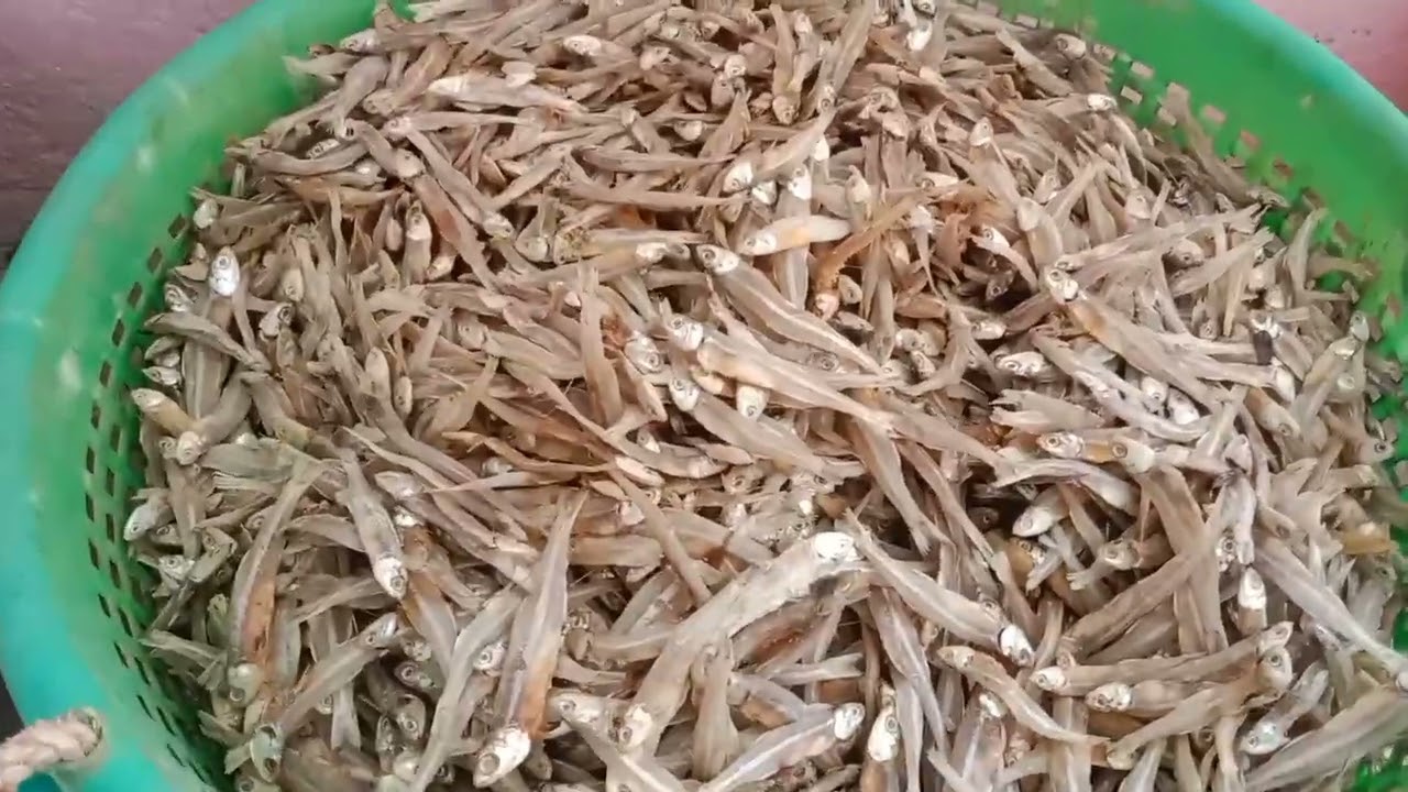 40 ரூ 50 ரூ 60 ரூ கருவாடு கிடைக்கும் இந்த இடம் எங்கே இருக்கிறது வாங்க பார்க்கலாம்