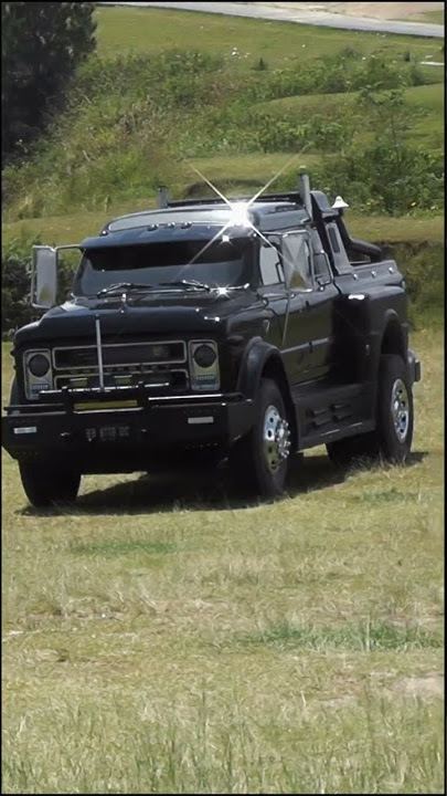 Custom Chevy C50