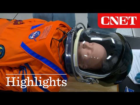 NASA Reveals Passengers Onboard Artemis 1 Moon Mission