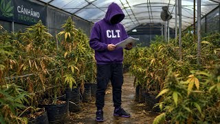 Am I going to stop growing? I'm back to a regular job + growing update
