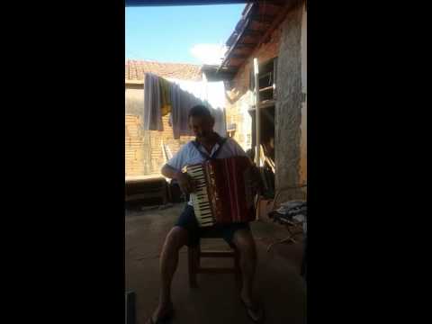 Neguinho sanfoneiro arealva