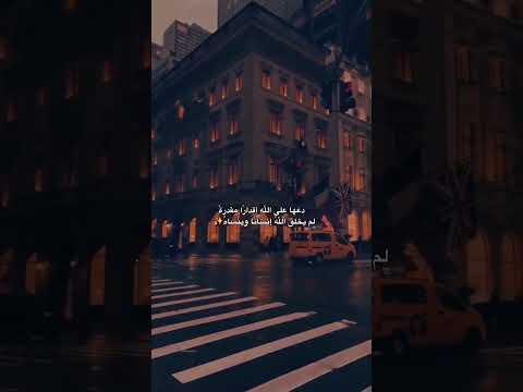 دعها على الله اقدارا مقدرة لم يخلق الله إنسانا وينساه لايك اكسبلور 