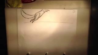 Squirrel Animation 2 (15 frames per second)
