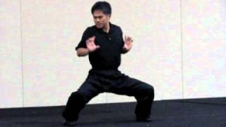 ICMAC HUNG GAR MASTERS DEMO WASHINGTON 2010.AVI