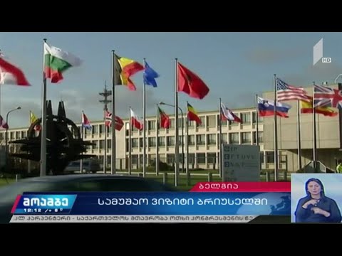 სამუშაო ვიზიტი ბრიუსელში