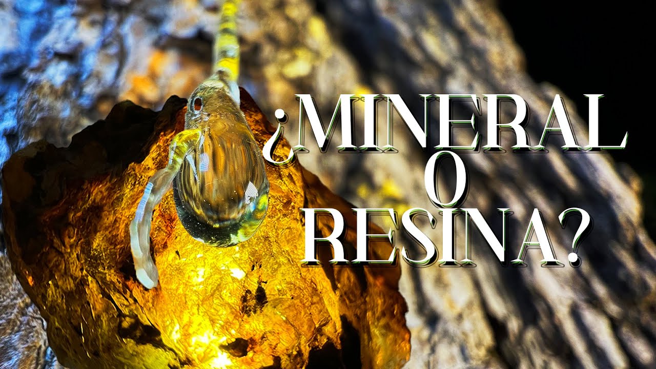 La HISTORIA congelada en el ÁMBAR