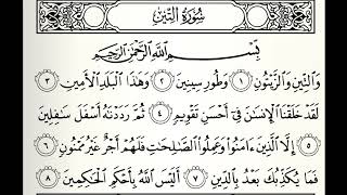 سورة التين القارئ عبدالرحمن الماجد