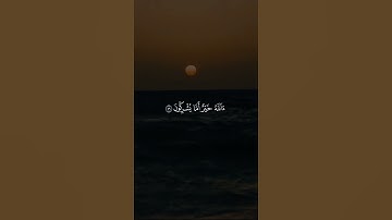 قرآن كريم 🎀 #استغفرالله #اكسبلور #راحة_نفسية #راحة_نفسية #لايك #راحه_نفسيه #تيك_توك #حالات_واتس