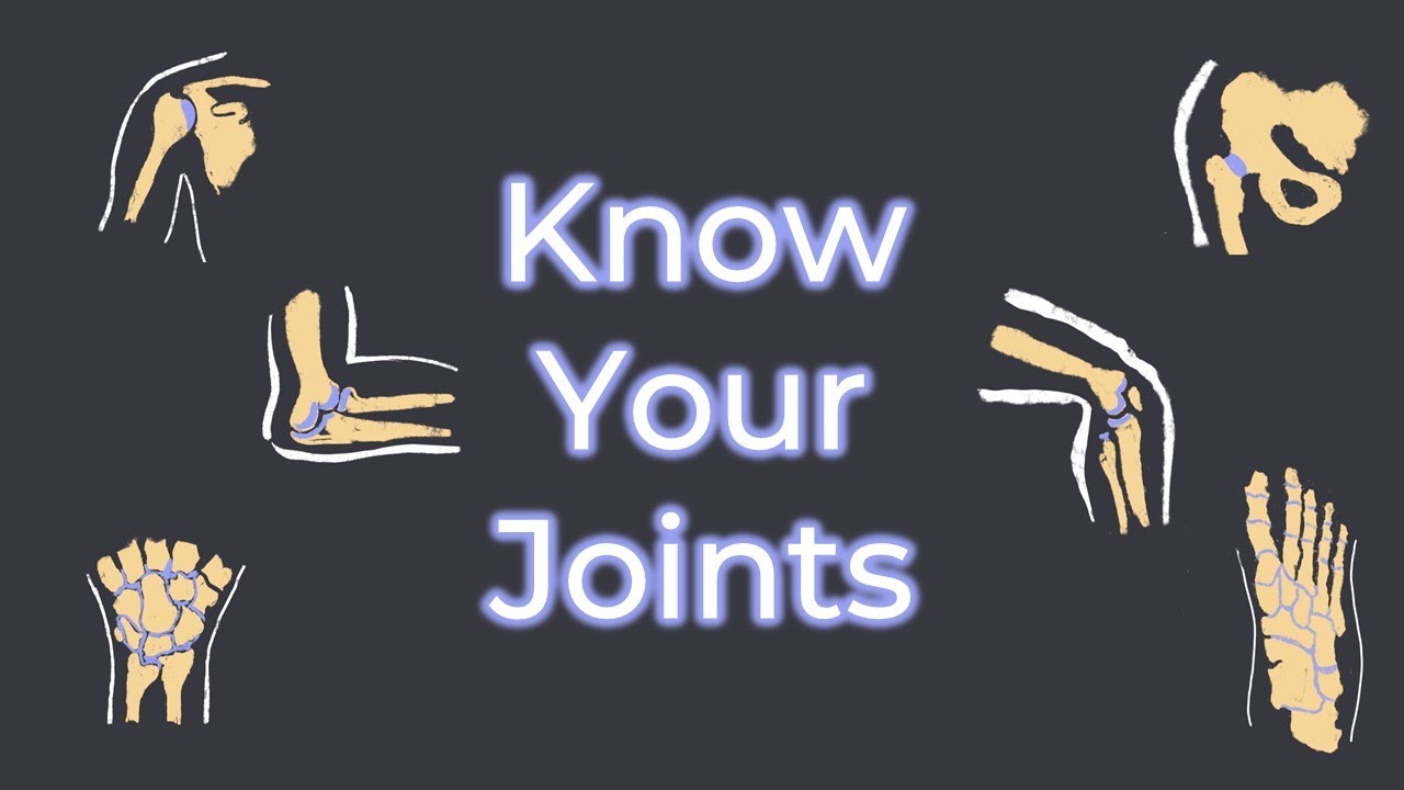 ⁣Know your Joints | Body Joints Part 1