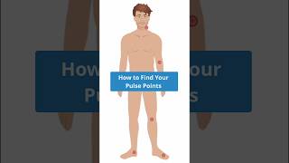 Pulse Points Every Nurse Must Know 🩺