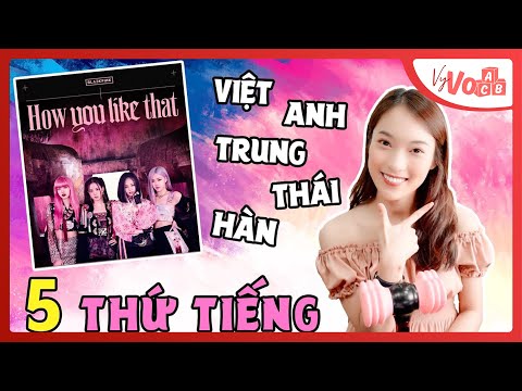 #2023 Dịch lời bài hát  'How You Like That' – BLACKPINK bằng 5 THỨ TIẾNG | VyVocab Ep. 56 | Khánh Vy