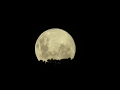 The largest supermoon of 2020 rising above Fish Hoek (Cape Town)