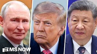 Trump thinks he, Putin and Xi are 'mafia dons': Natl. security expert