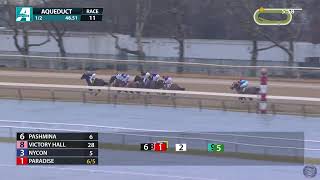 2026 Gazelle Stakes (G3) - Always A Runner runs down Pashmina in a Thriller at Aqueduct - 04/04/2026 Net Worth