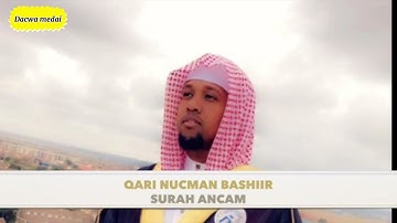 الحزب ١٤| انما يستجيب الذين يسمعون  للقارئ نعمان بشير من سورة الأنعام