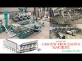 Modern Cashew Processing Machine : Complete Automated Cashew Nut Transformation Technology by TTQ