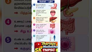 #tnpscgroup4 #tnpscgroup2 #tnpscstudy #rrbtamil #rrbntpc #rrbgroupd #tnpsctamil #tnpscexam #tamilgk