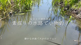 素掘りの水路で小物釣り