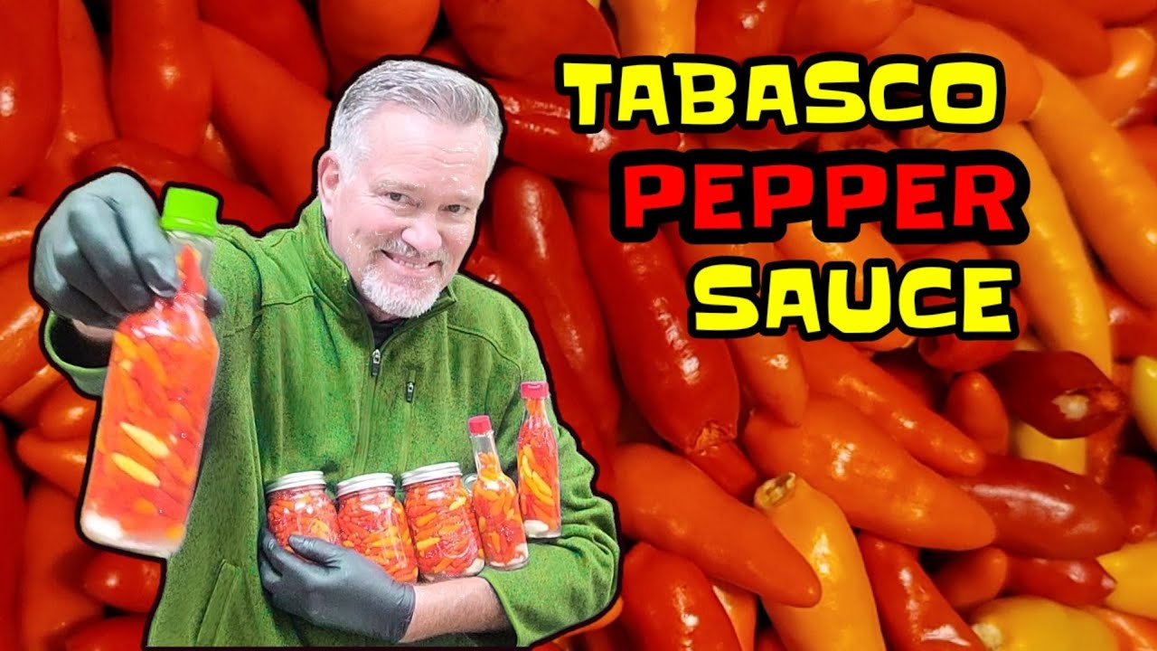 Here's My Unfailing Recipe for Tabasco Pepper Sauce ... - YouTube