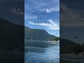 IPHONE 12 VS Sony a9 comparison #shorts #wildlifephotography #canada #eagles