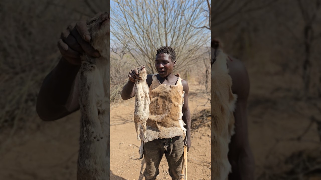Rock Hyrax For lunch 