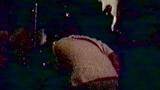 Mohinder: Live at Cell 63, 1994