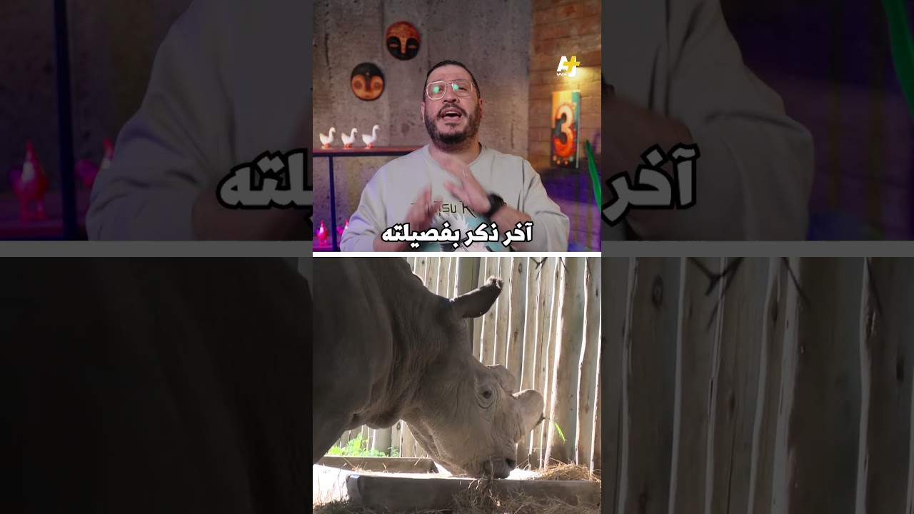 حيوانات مشهورة