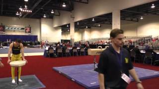 Nolan Novak - Pommel Horse - 2016 Winter Cup Prelims