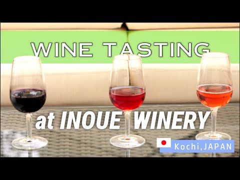 Tasting wine at Inoue winery in Kochi Japan