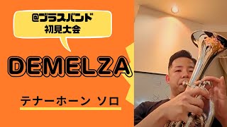 DEMELZA（デメルザ）テナーホーン（アルトホルン）ソロ/Tenor horn