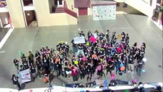 SANTIAGO B   LIP DUB CONTEST 2013