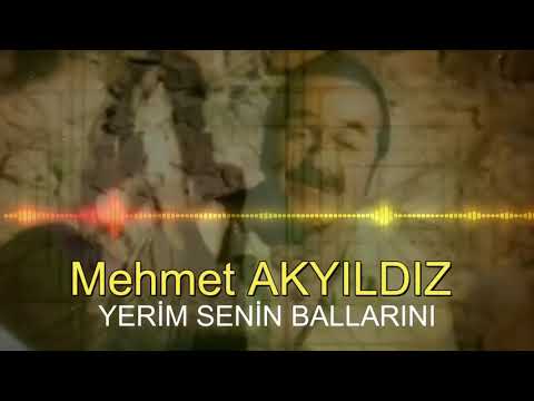Mehmet AKYILDIZ - YERİM SENİN BALLARINI (RESMİ HESAP)