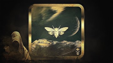 Proxxy (BR) – Acid Moon (Original Mix) [Ciccada]