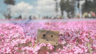 Acento No Me Dejan Verla