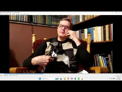 On the Subjective Experience of the 15 Minute a Day Language Habit