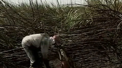 Quais tipos de atividades podemos encontrar trabalhadores expostos às radiações não ionizantes?