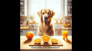 Can Dogs Eat Orange?