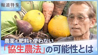 農薬・肥料使わず、土も耕さない、多様な作物を育てる「協生農法」の可能性とは【報道特集】TBS NEWS DIG