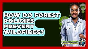 How Do Forest Policies Prevent Wildfires? - Earth Science Answers