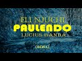 Eli Njuchi Ft Lucius Banda - Paulendo remix (Official Lyric Video)