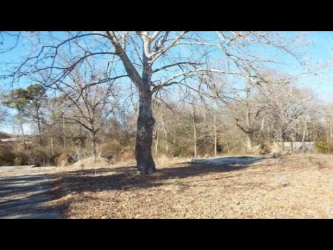 2619 ROCKFISH RD,