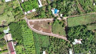 DJI 20251226100753 0918 D