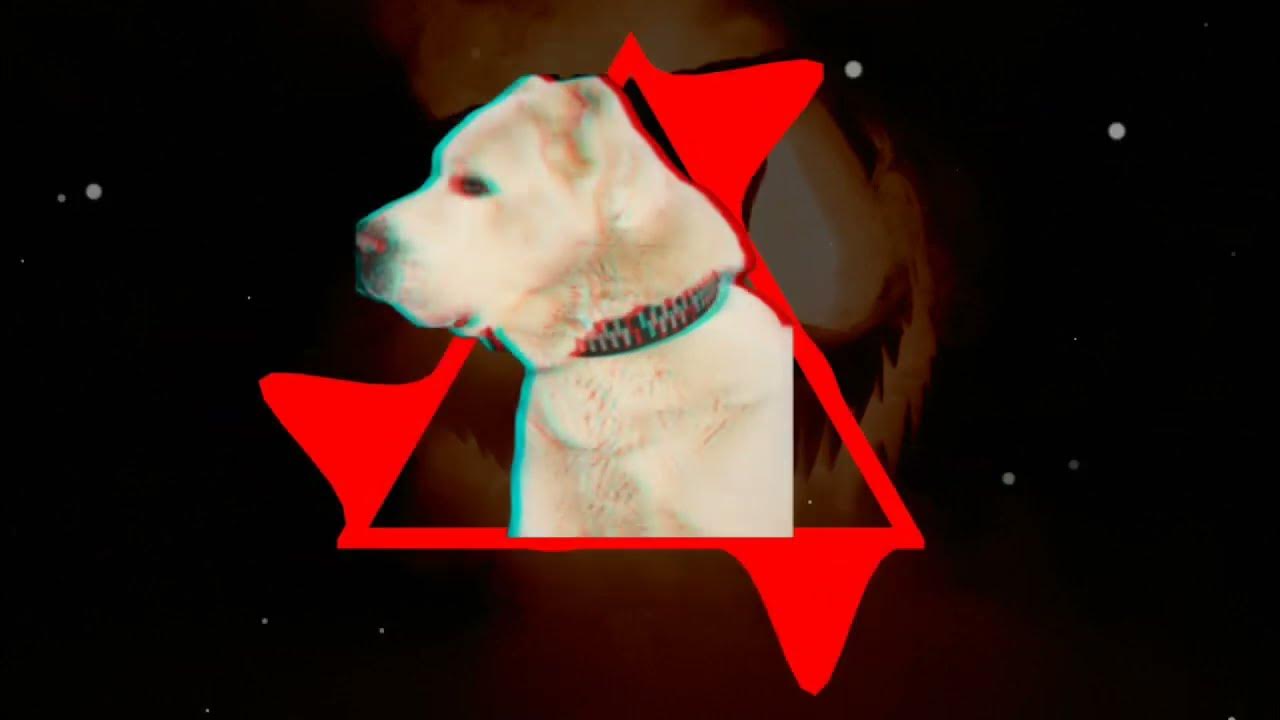Голодная собака v x v