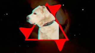Голодный пёс - SEEMEE & SODA LUV