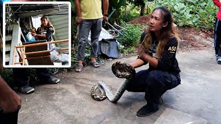 Brave Woman Climbs Scaffolding To Catch Python With Barehands