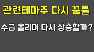 수급포착 다시 관련테마주로 모일까