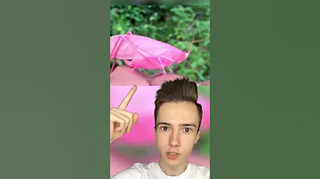 Скрестил днк кузнечика и розы #Shorts