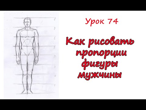 Пропорции фигуры мужчины. Урок 74